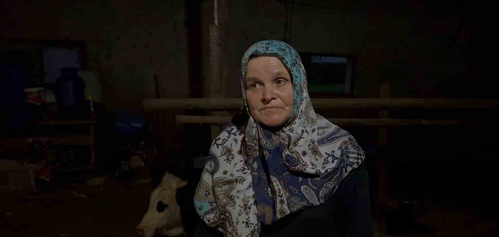 Bahçesine giren dananın kuyruğunu baltayla kesti
