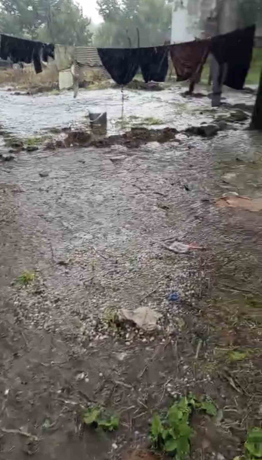 Samsun’a giden fındık işçilerini yağmur vurdu