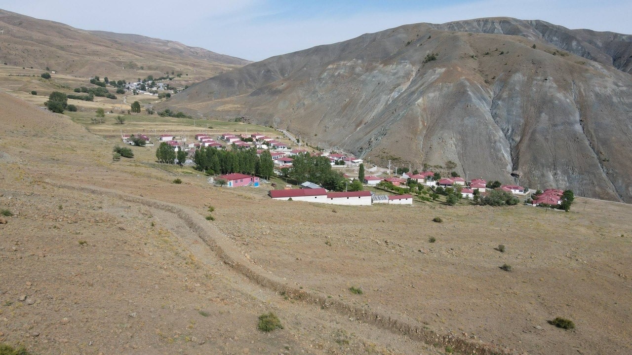Erzincan’da ayı dehşeti: Ağıla ayı girdi, 144 küçükbaş hayvan telef oldu