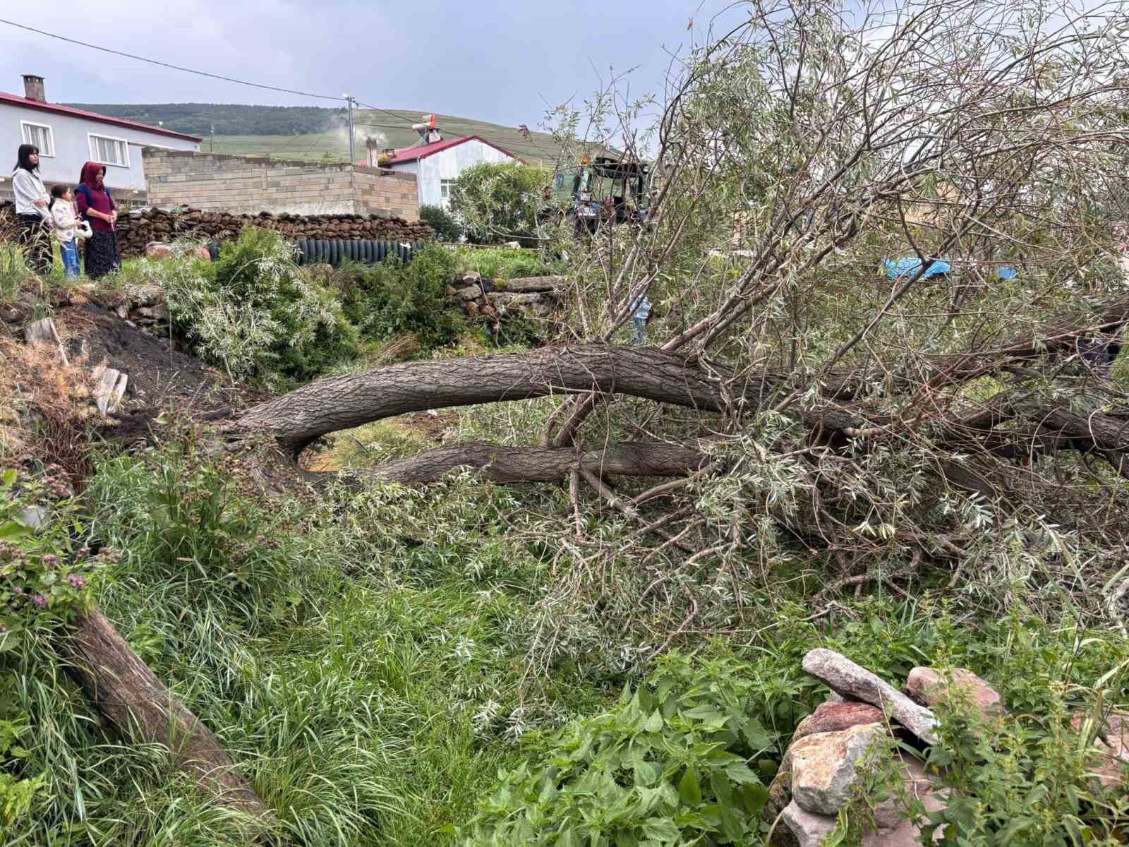 Ardahan’da şiddetli fırtına ağaçları kökünden söktü