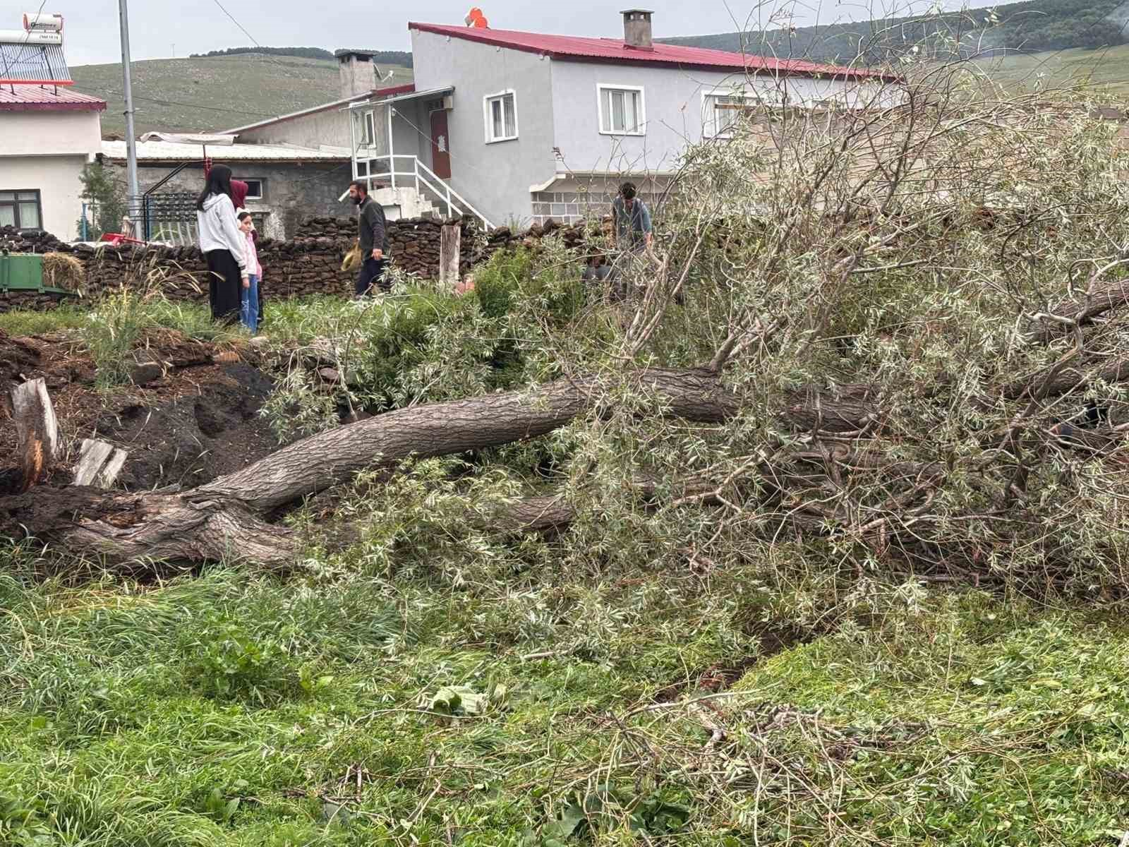 Ardahan’da şiddetli fırtına ağaçları kökünden söktü