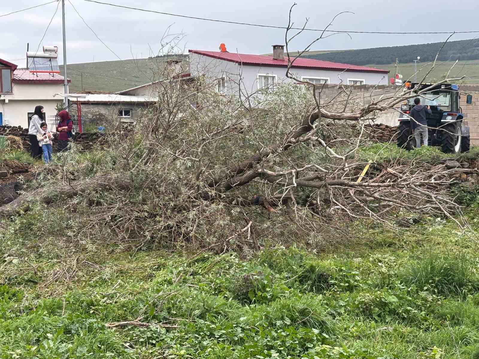 Ardahan’da şiddetli fırtına ağaçları kökünden söktü