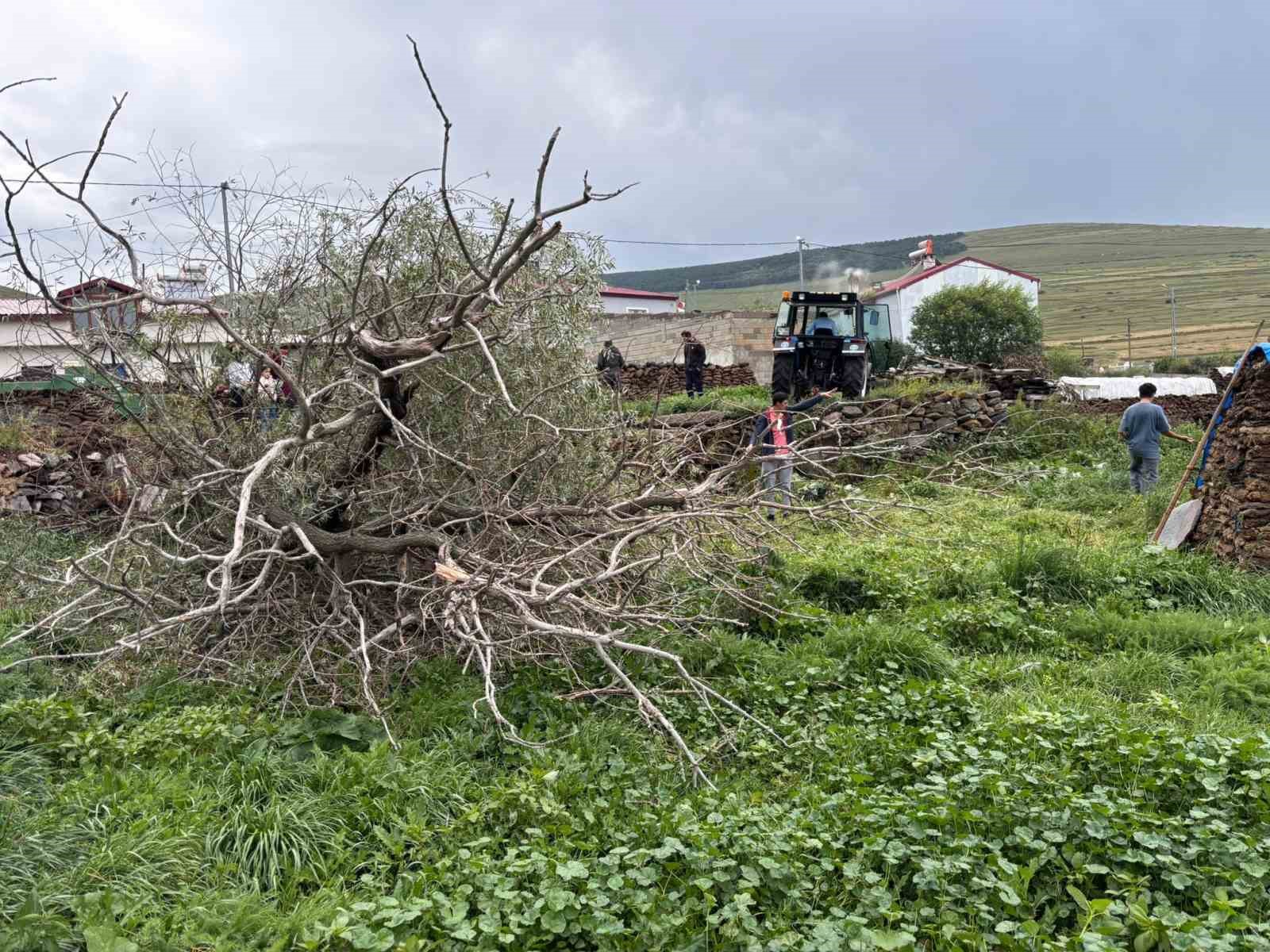 Ardahan’da şiddetli fırtına ağaçları kökünden söktü