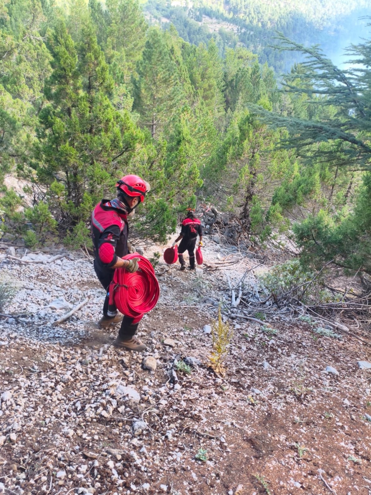 Alevlerden korunmak için kendini toprağa gömmeye çalışan kaplumbağayı ekipler kurtardı