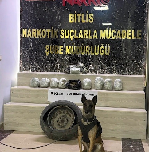 Bitlis’te 6 kilo 550 gram skunk ele geçirildi