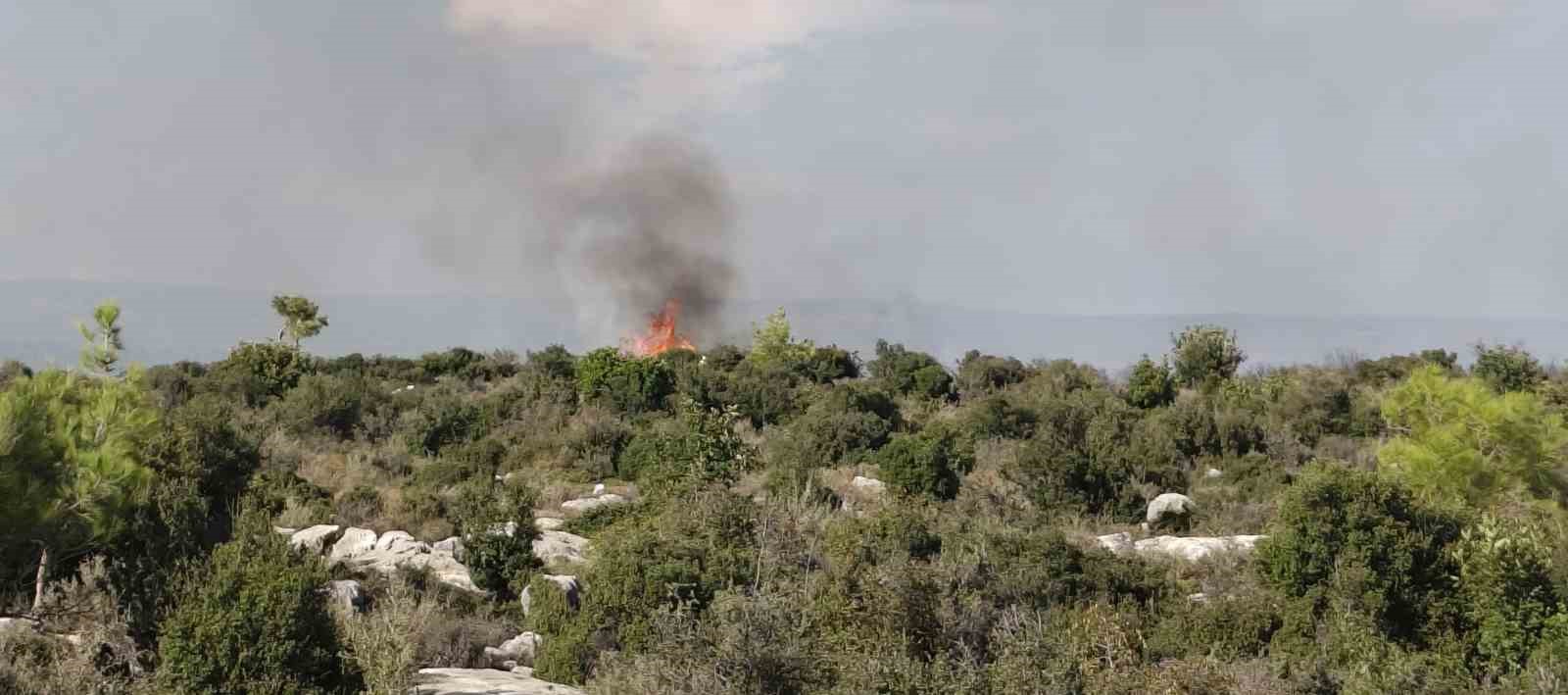 Silifke’de makilik alanda çıkan yangın söndürüldü