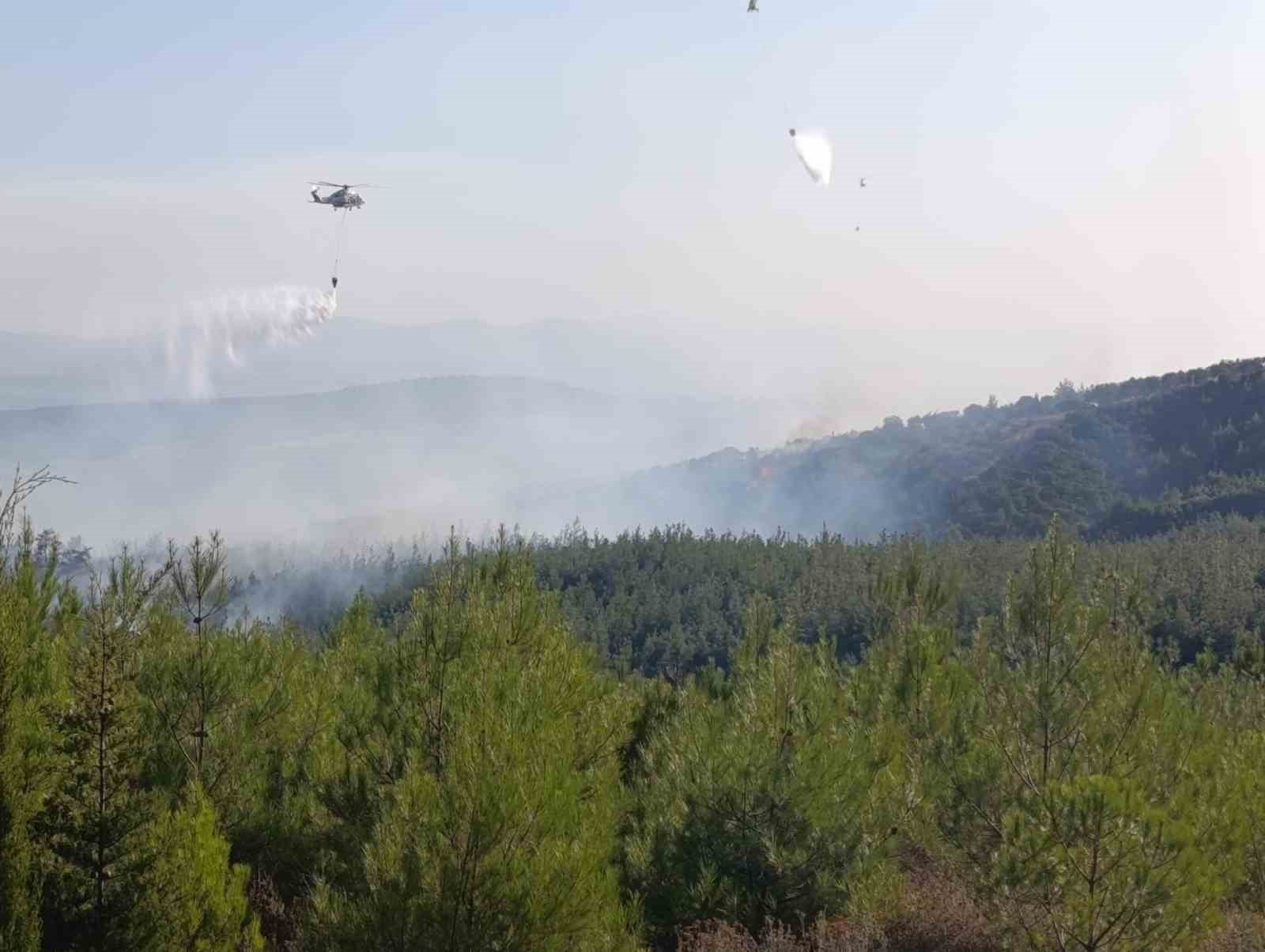 Bayramiç’teki orman yangını büyük ölçüde kontrol altında