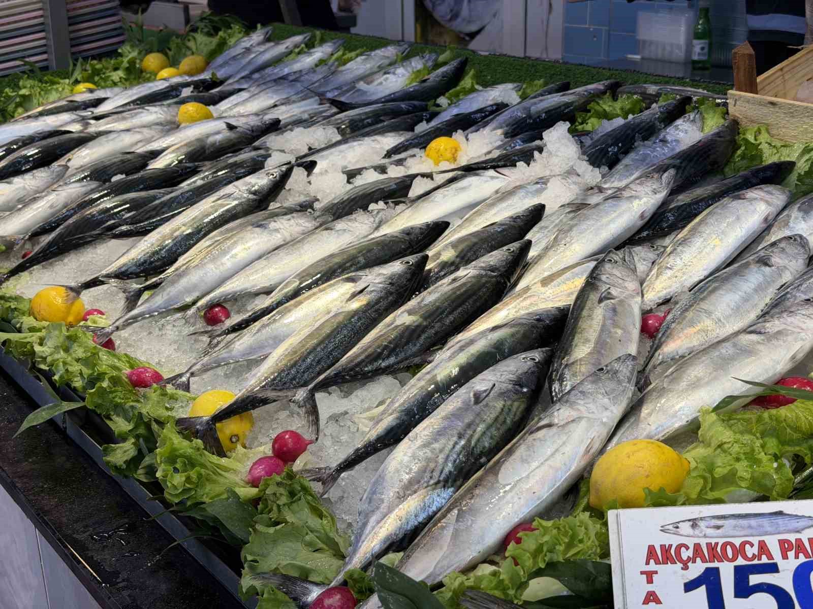 Balıkçıların yüzünü palamut bolluğu güldürdü