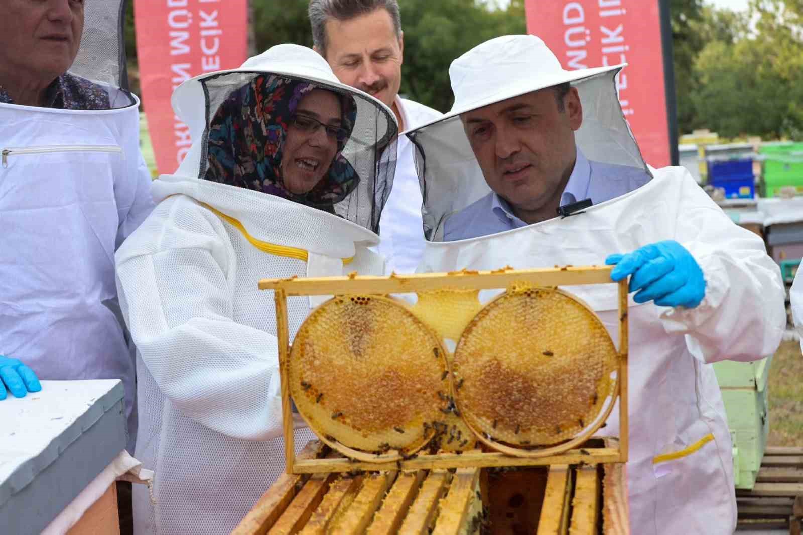 Bilecik’te 22 bin 500 kovandan 135 ton bal üretiliyor