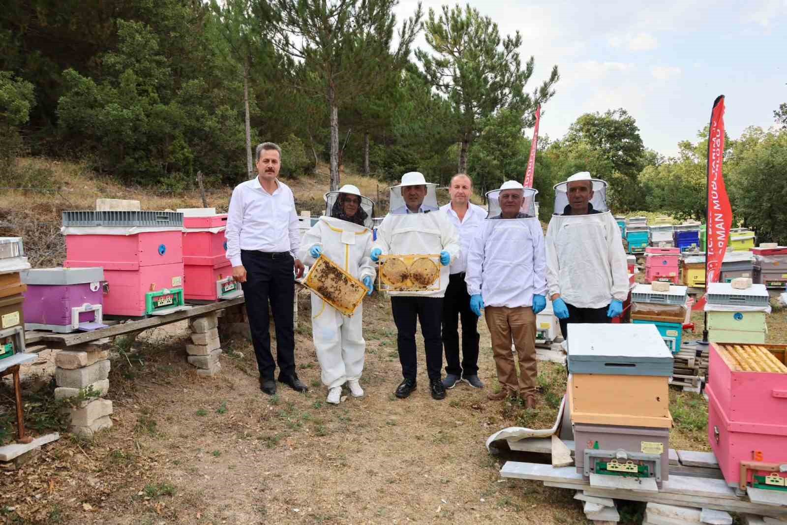 Bilecik’te 22 bin 500 kovandan 135 ton bal üretiliyor