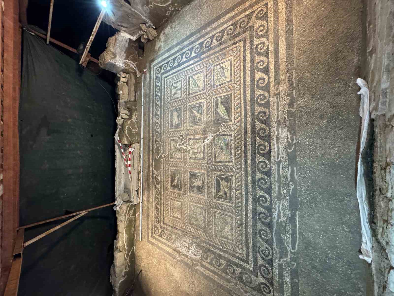 Adramytteion’da Roma villasının eşsiz mozaikleri gün yüzüne çıktı