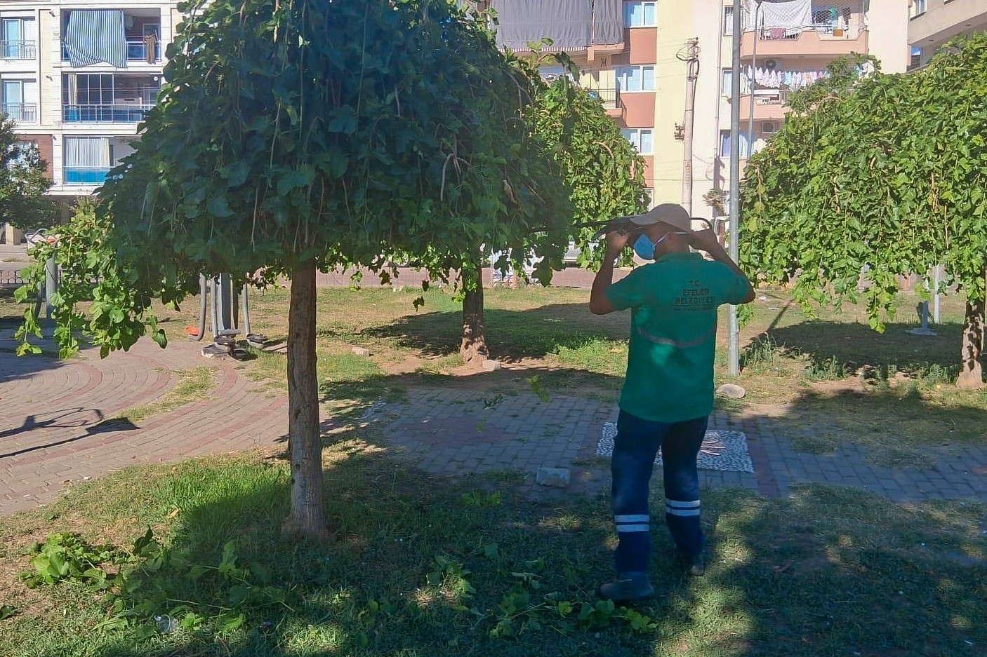 Efeler Belediyesi parklarda bakım çalışmalarını sürdürüyor