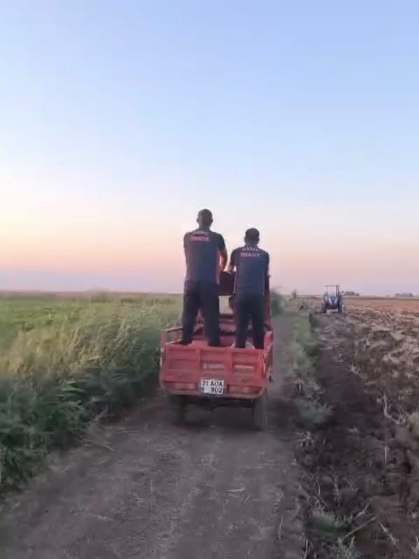 Reyhanlı’da bataklığa düşen büyükbaş hayvan kurtarıldı