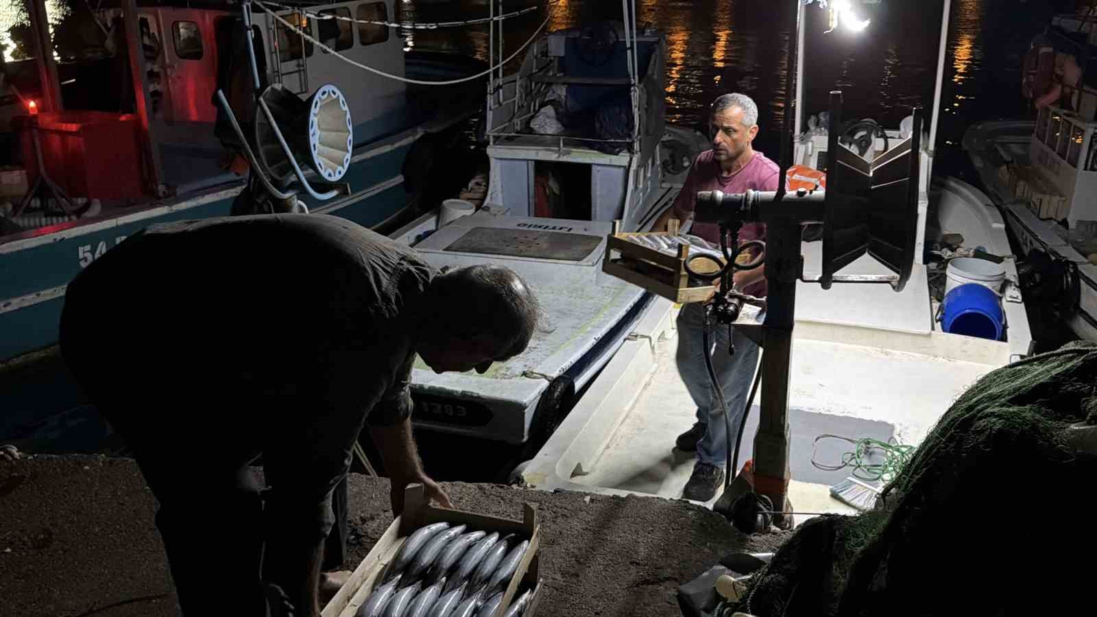 Akçakoca açıklarında palamut bereketi: Tekneler dolu dönüyor