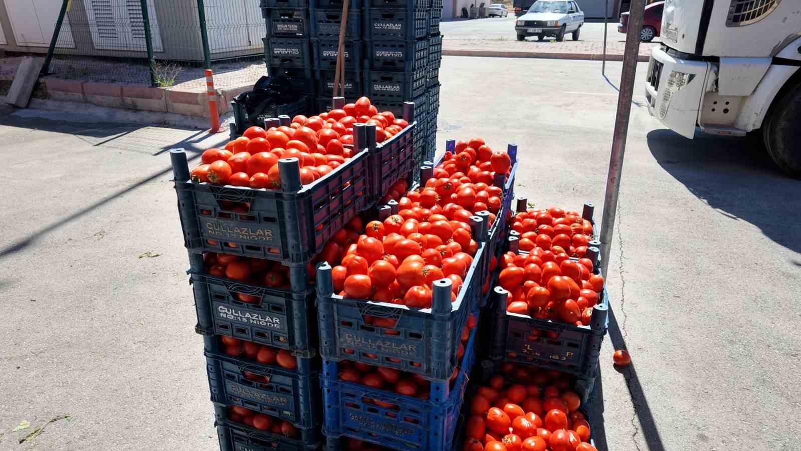Niğde’de kışlık salça mesaisi başladı