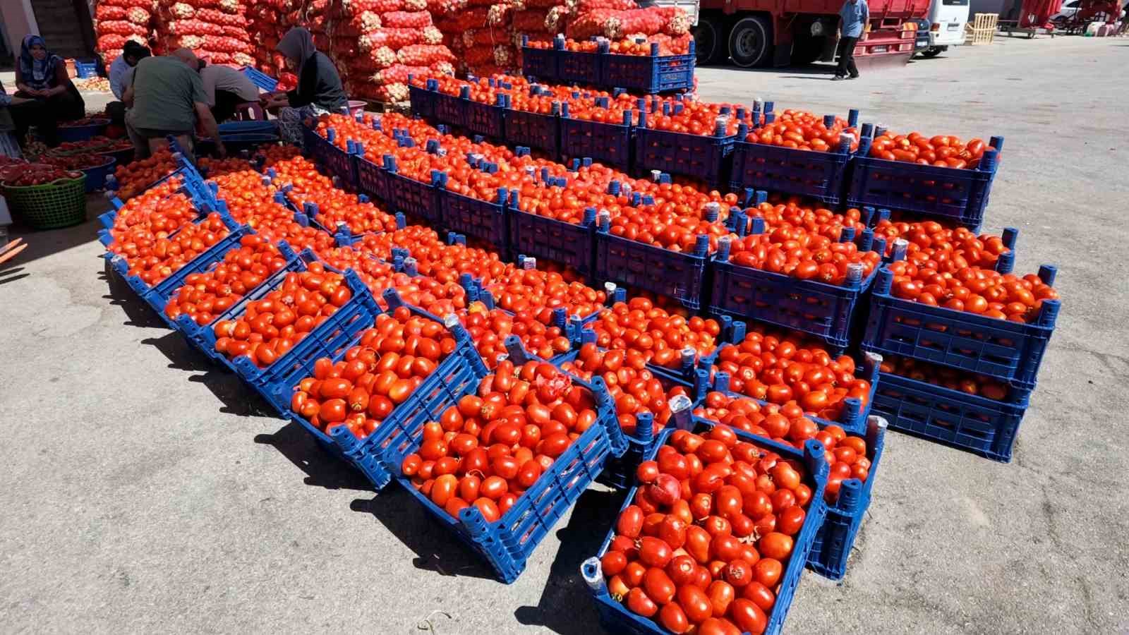 Niğde’de kışlık salça mesaisi başladı