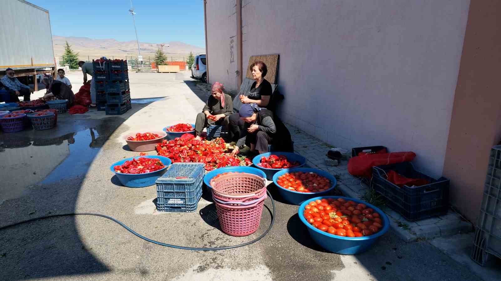 Niğde’de kışlık salça mesaisi başladı