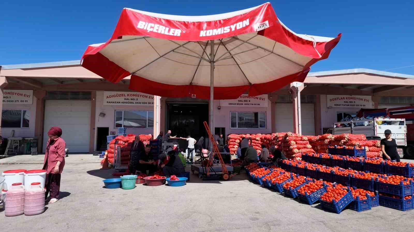Niğde’de kışlık salça mesaisi başladı