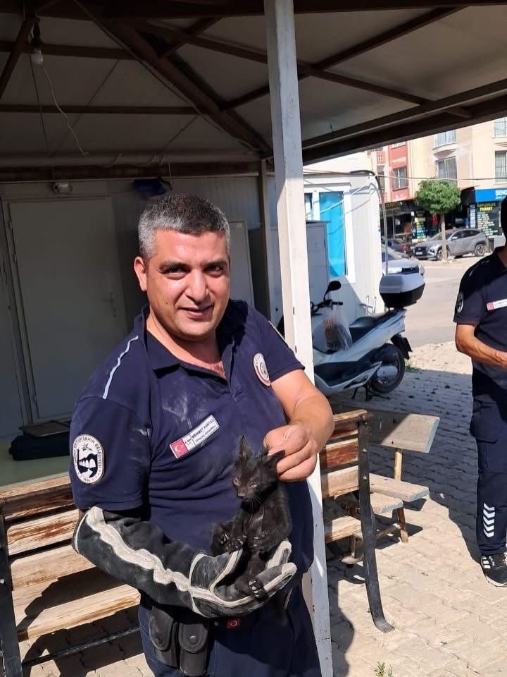 Antakya ve İskenderun’da araçlarda mahsur kalan kediler kurtarıldı