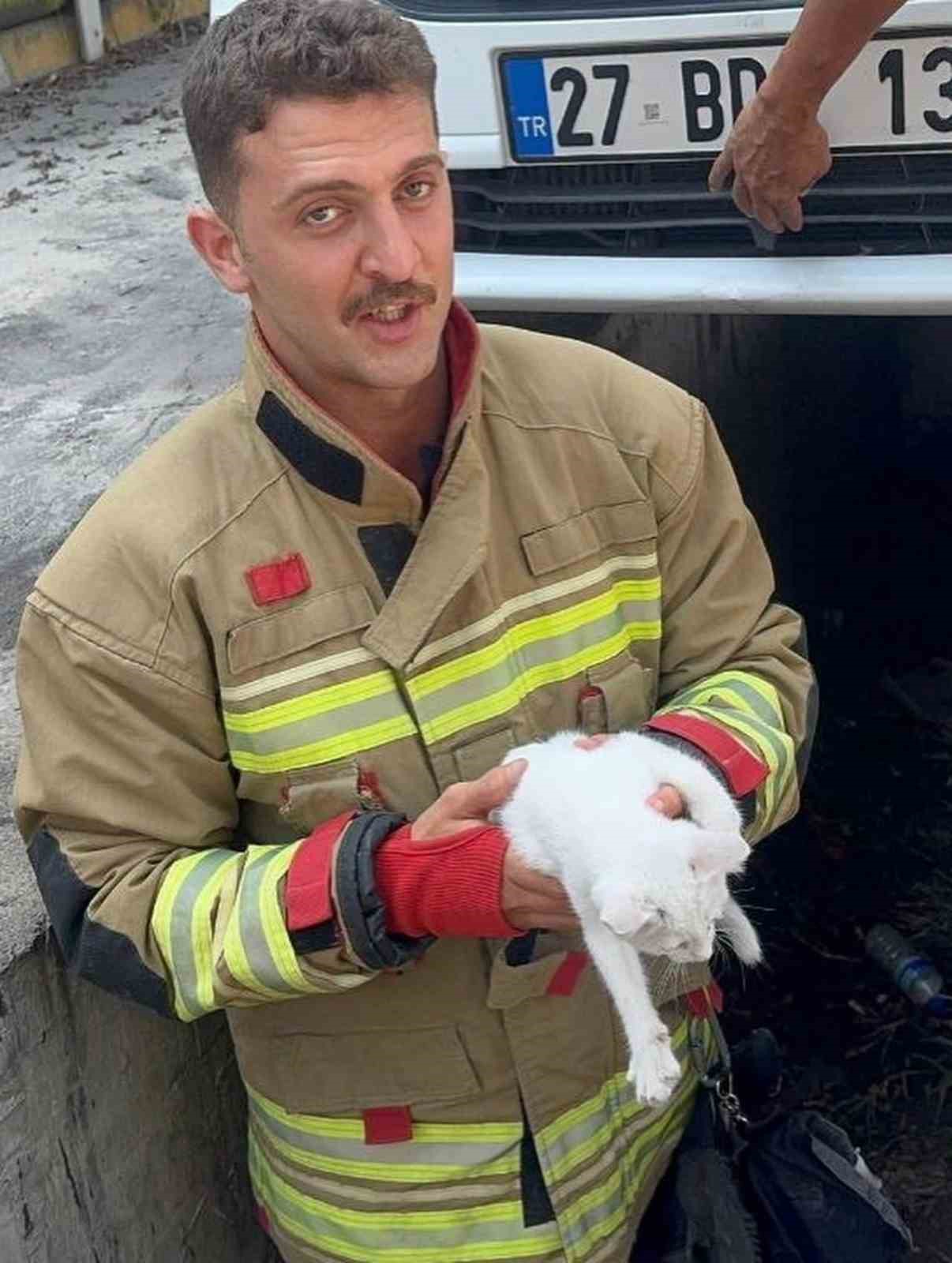 Antakya ve İskenderun’da araçlarda mahsur kalan kediler kurtarıldı