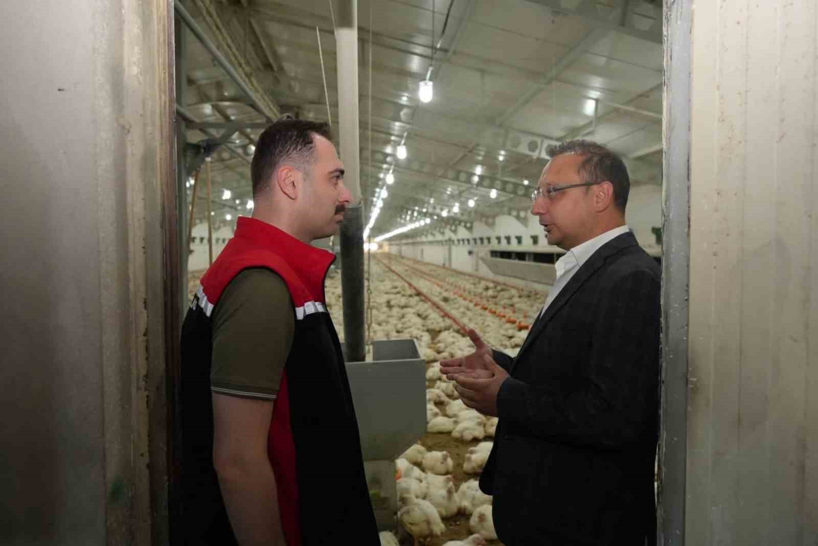 Üzümlü’de tavuk çiftliğinde inceleme yapıldı