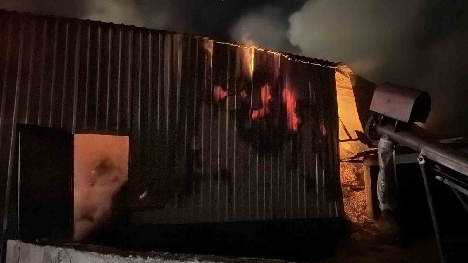 Samanlık alev alev yandı, 4 kişi dumandan etkilendi