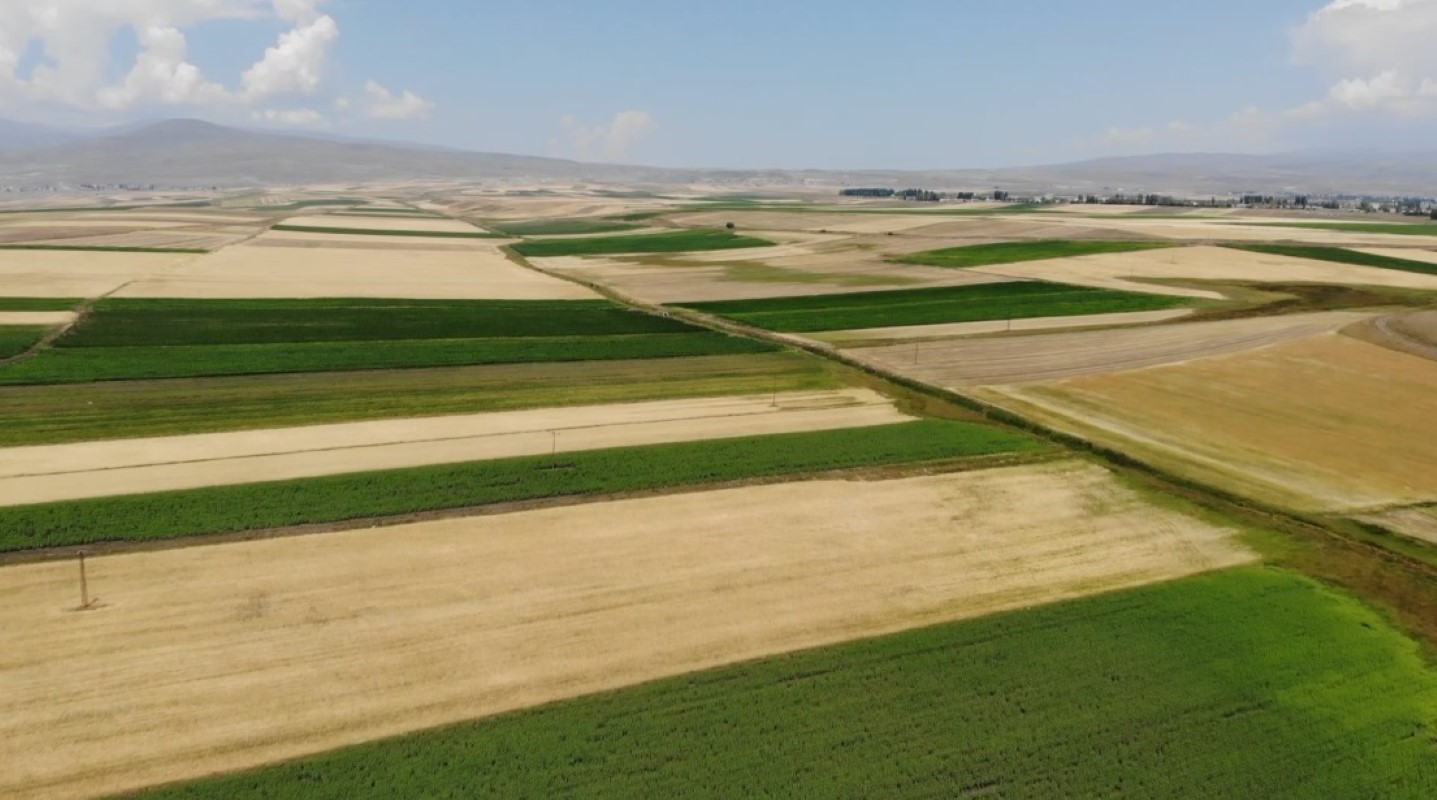 Kars’ta tarım arazileri havadan görüntülendi: Tarlalar halı ve kilim desenlerini aratmadı