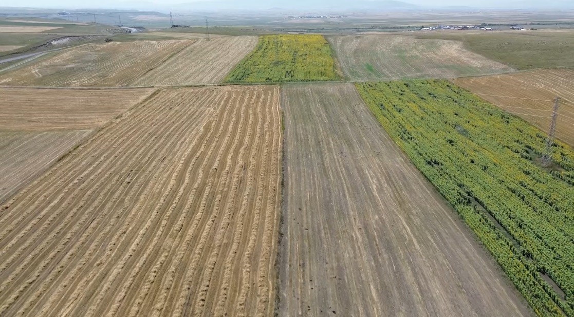 Kars’ta tarım arazileri havadan görüntülendi: Tarlalar halı ve kilim desenlerini aratmadı