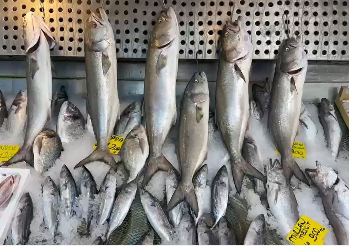 Yasak kalktı balık tezgahları doldu