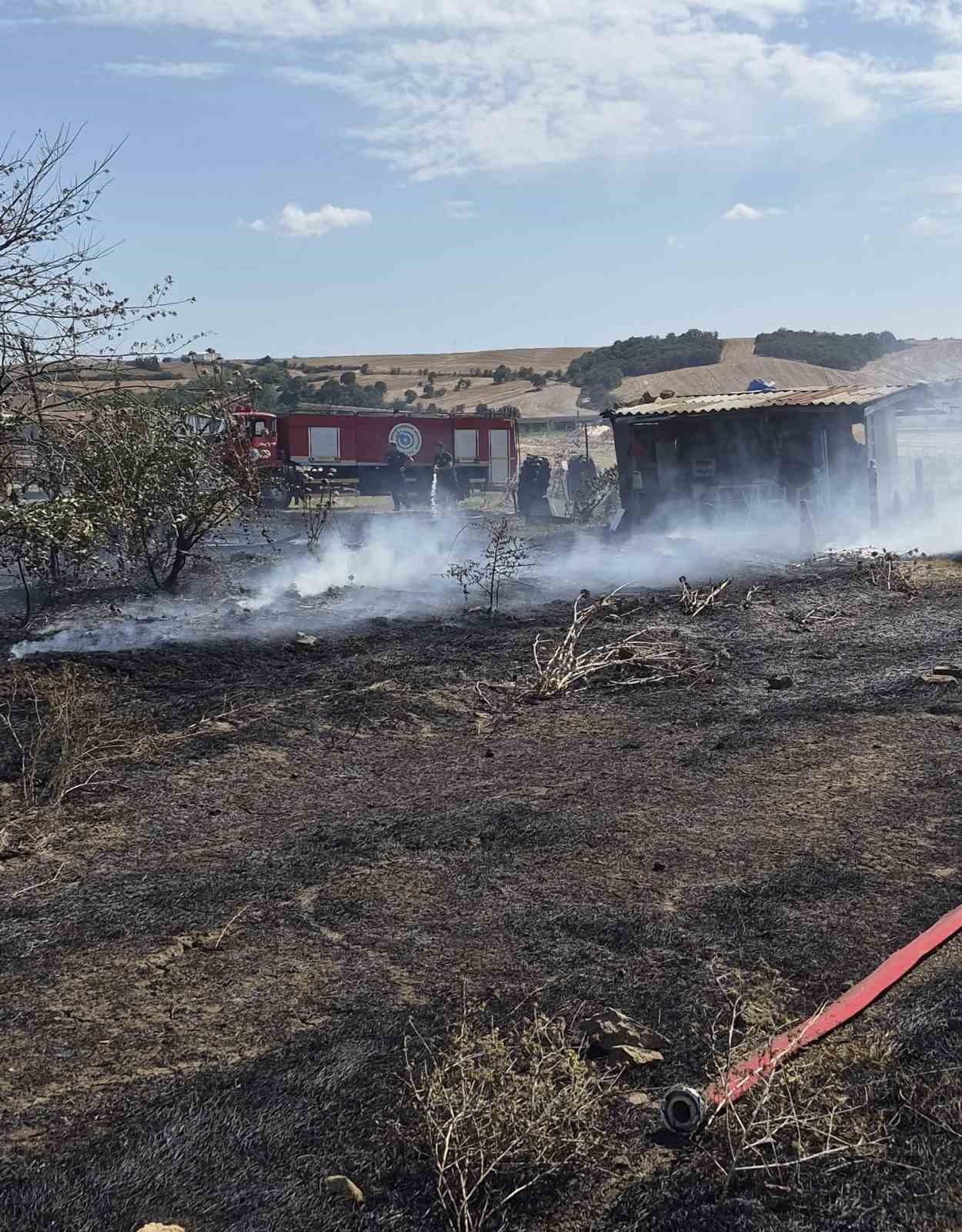 Muratlı kırsalındaki pangın paniği