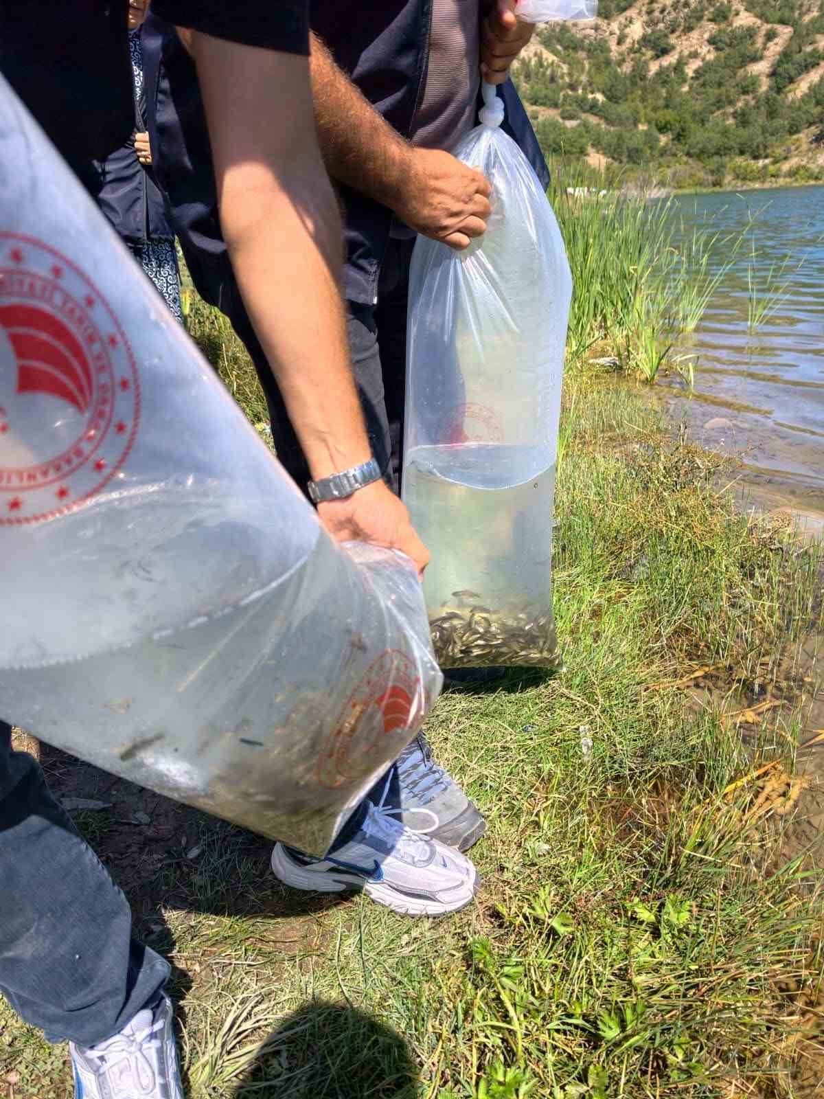 Karabük’teki göletlere 105 bin yavru balık bırakıldı