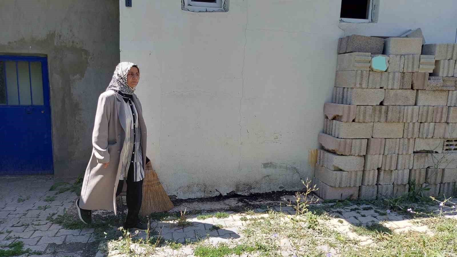 Camide kediyi tekmeleyen şahıs gözaltında, hayvan severler kediyi arıyor