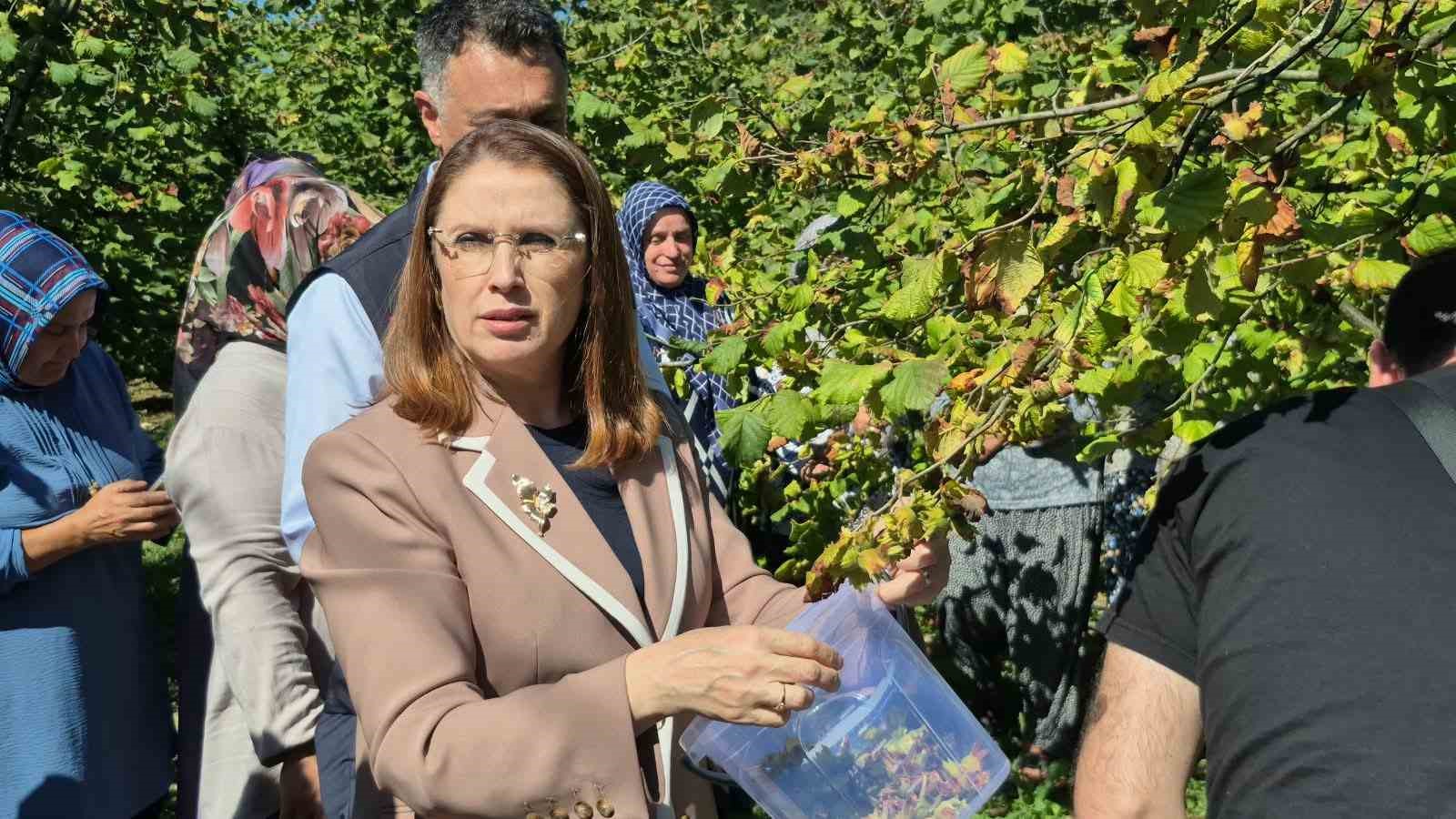 Vali Arslan, Bartın’da fındık hasadına katıldı