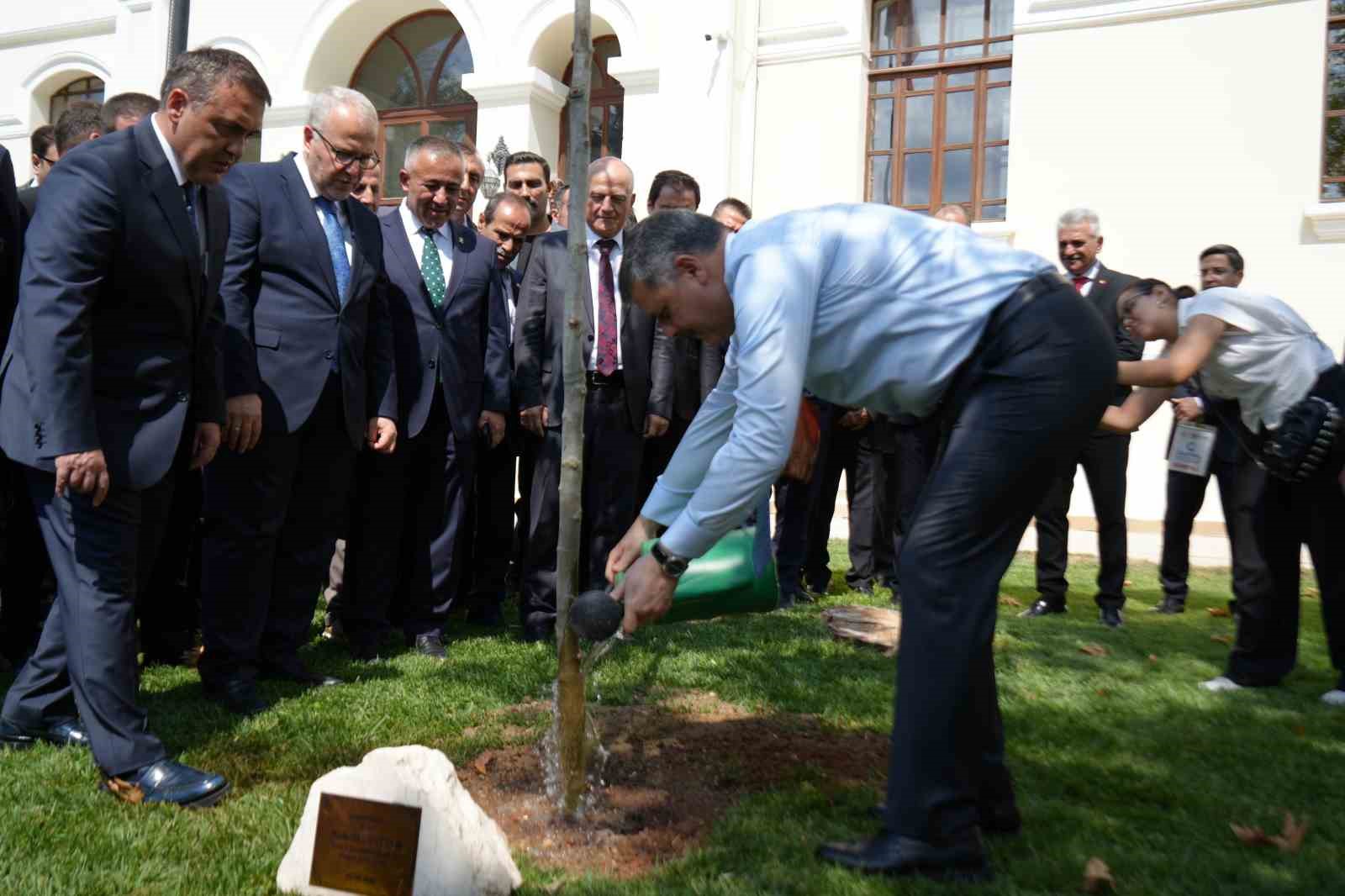 Bakanı Çiftçi, adını taşıyan çınar fidanını dikerek can suyu verdi