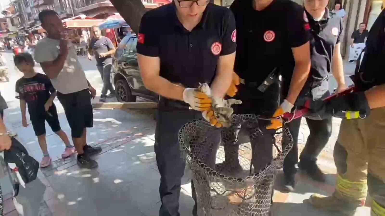 Kaputtan miyav sesi geldi, itfaiye ekipleri harekete geçti