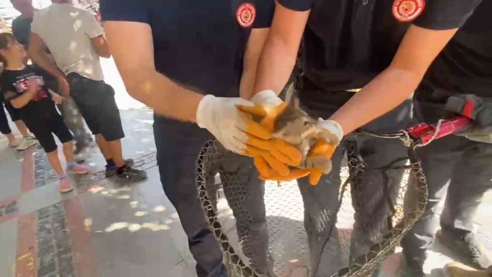 Kaputtan miyav sesi geldi, itfaiye ekipleri harekete geçti