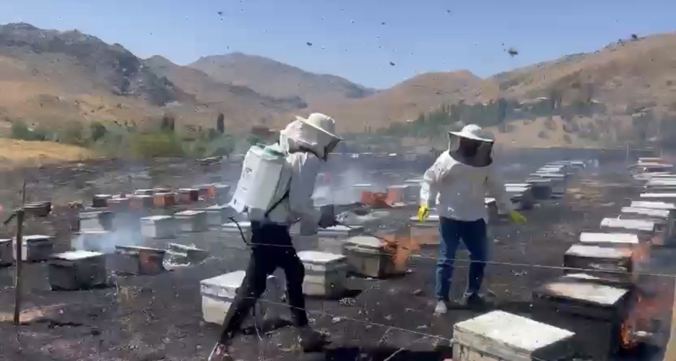 Adıyaman’da otluk alan yangını 200 arı kovanını kül etti