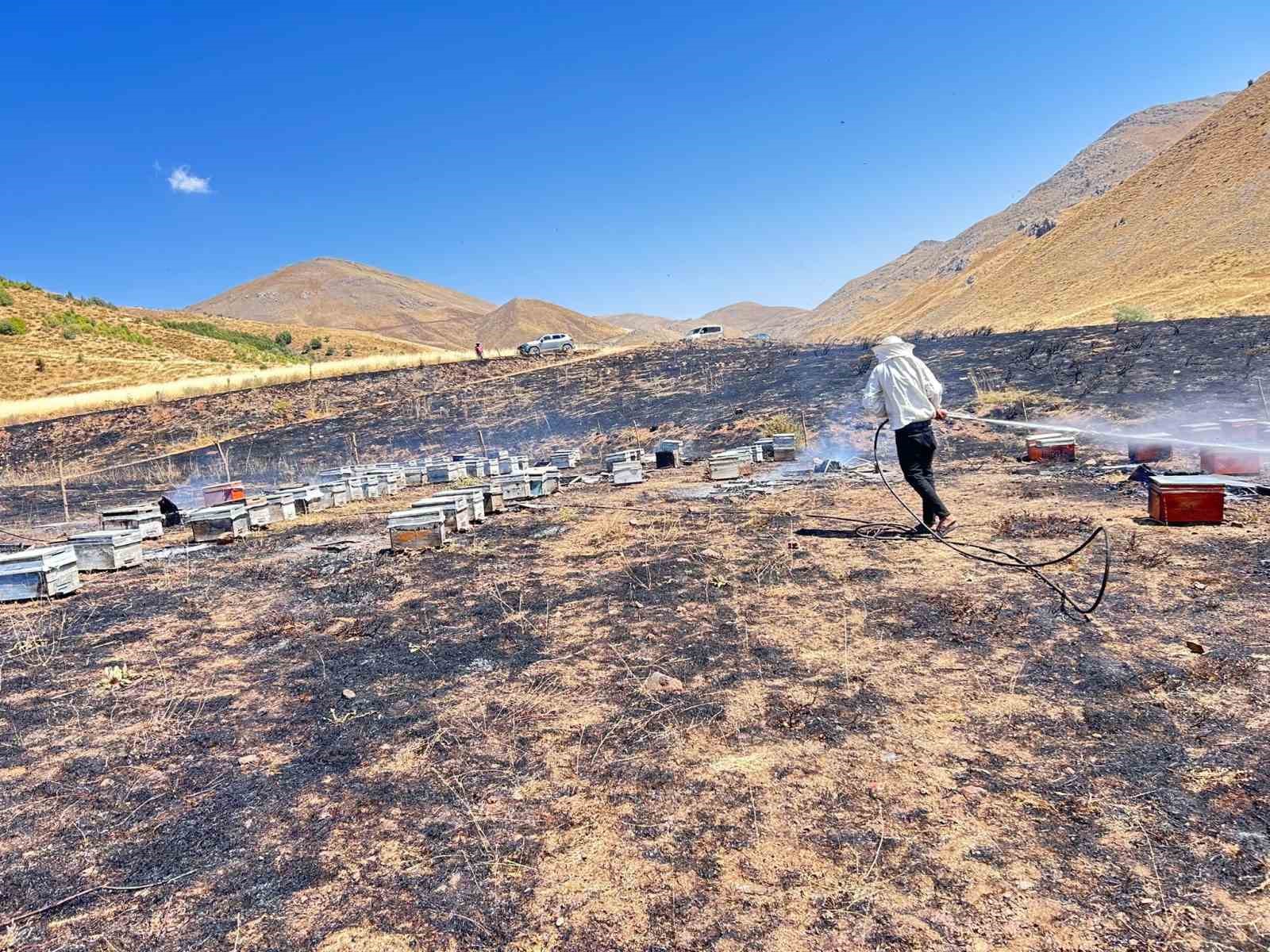 Adıyaman’da otluk alan yangını 200 arı kovanını kül etti