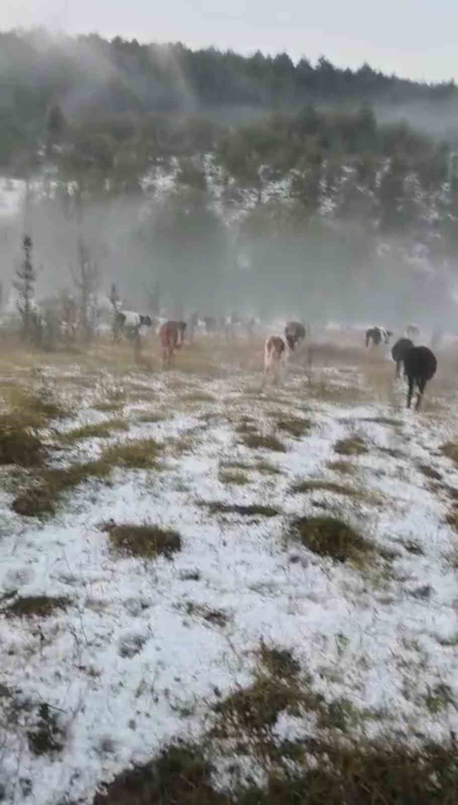 Karabük’te dolu yağışı etkili oldu