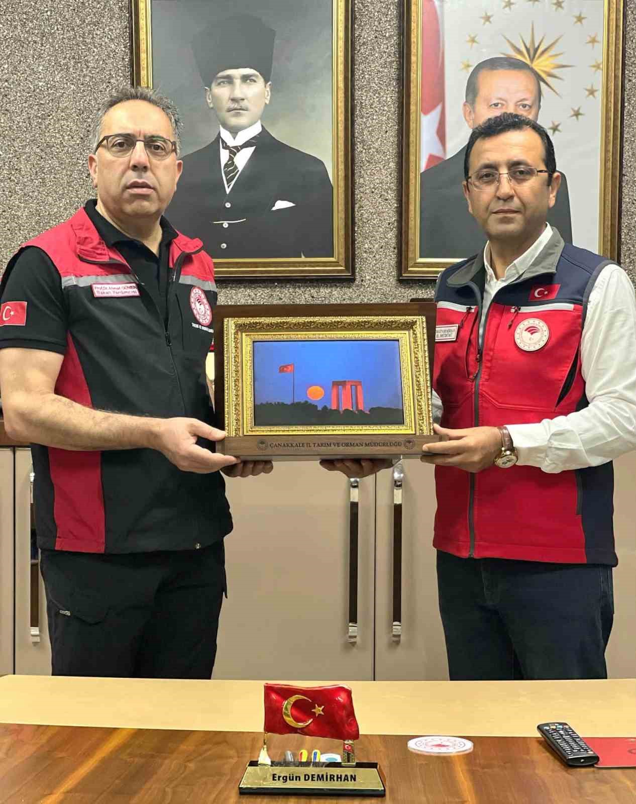 Gökçeada’da üzüm hasadı