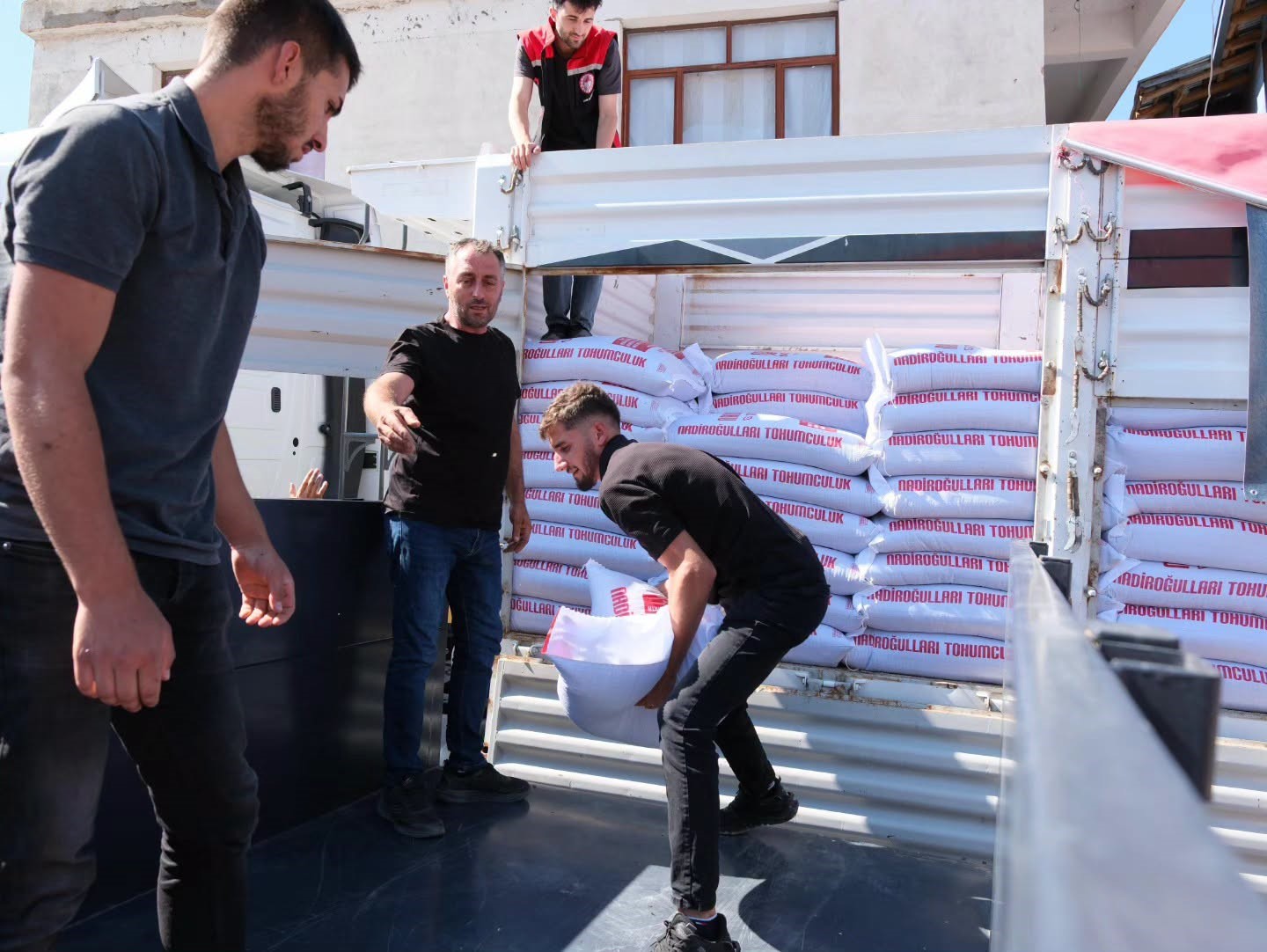 Kemaliye’de üreticilere yüzde 75 hibeli kırmızı mercimek tohumu desteği