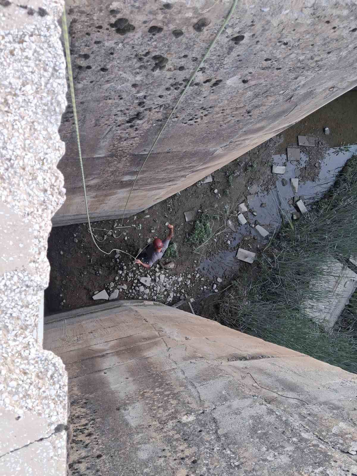 Koruma altındaki dağ keçisi için özel kurtarma operasyonu