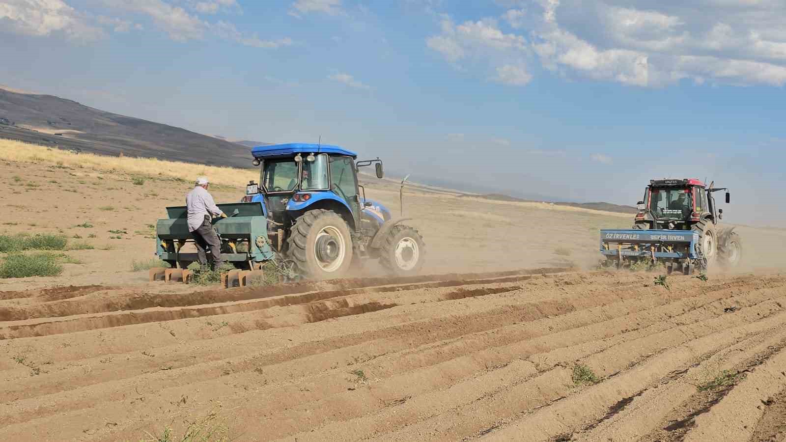 Adilcevaz’da buğday ekim sezonu başladı