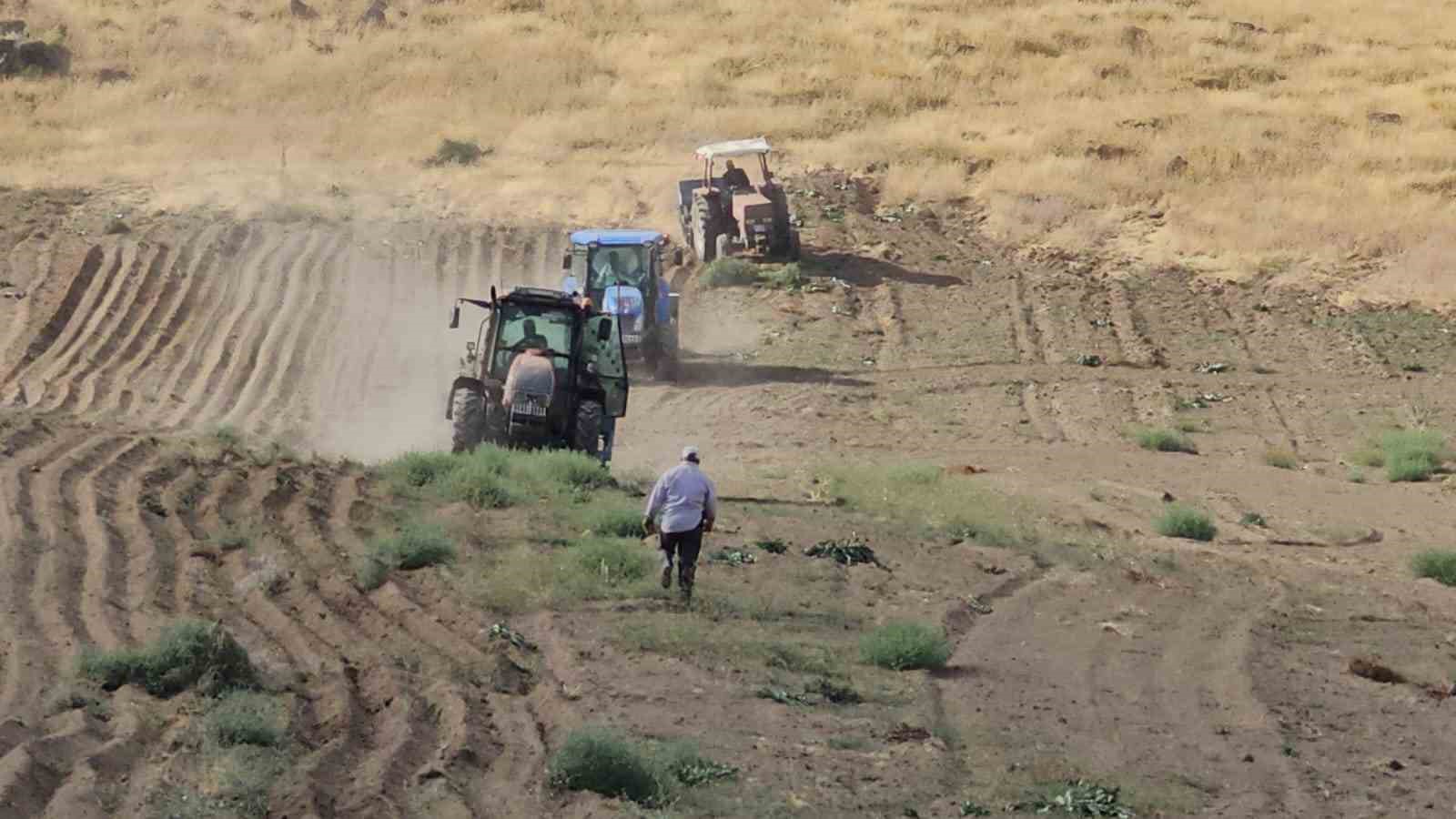 Adilcevaz’da buğday ekim sezonu başladı