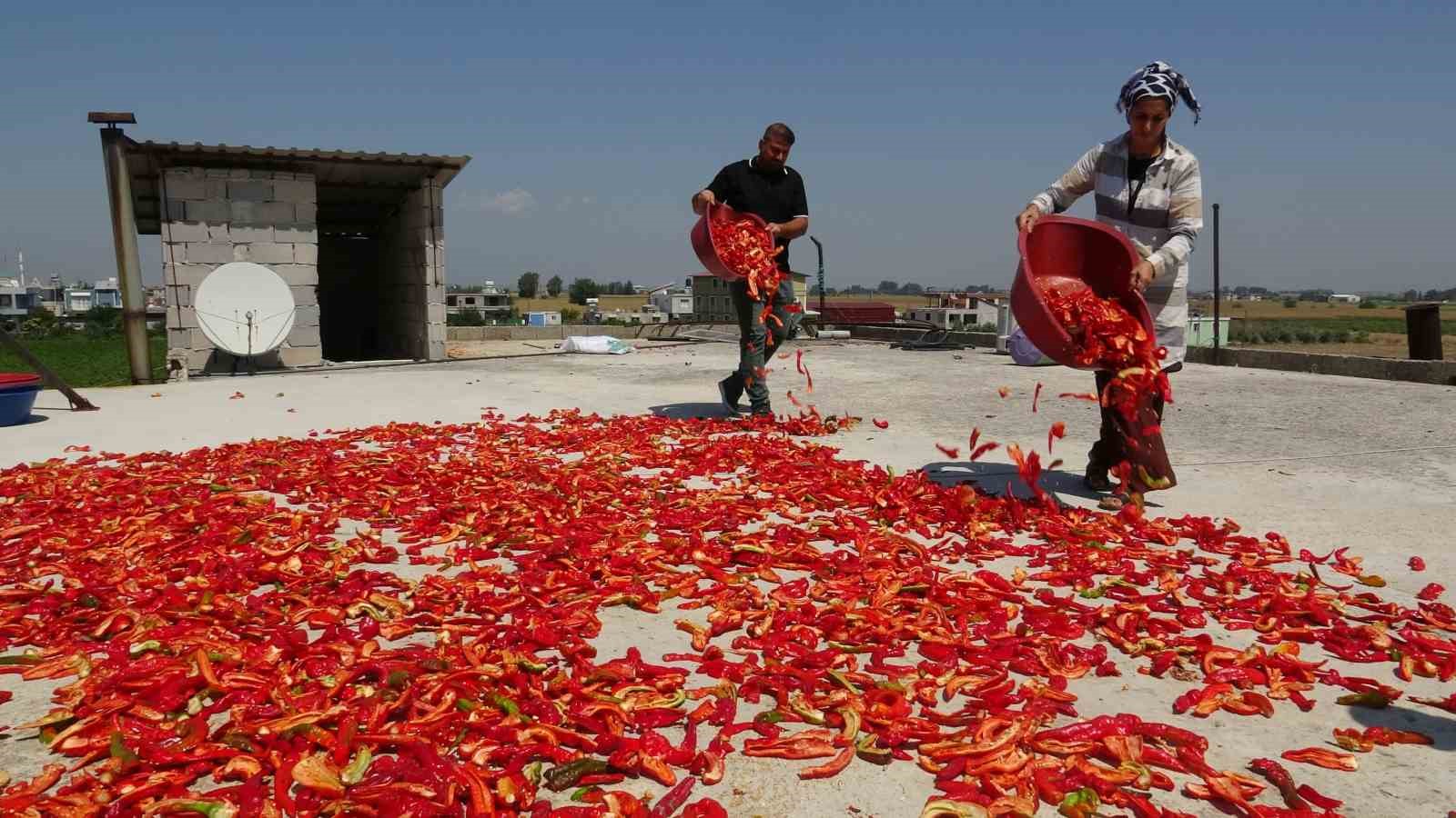 Kavurucu sıcakta devam eden acı mesaiyle birlikte damlar kırmızıya büründü