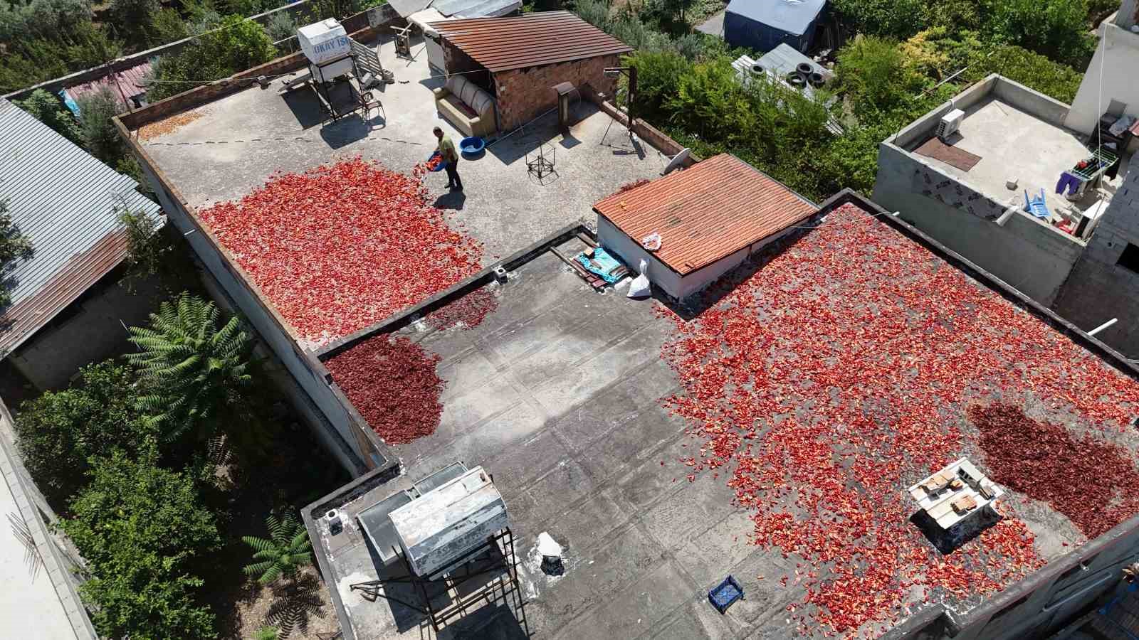 Kavurucu sıcakta devam eden acı mesaiyle birlikte damlar kırmızıya büründü