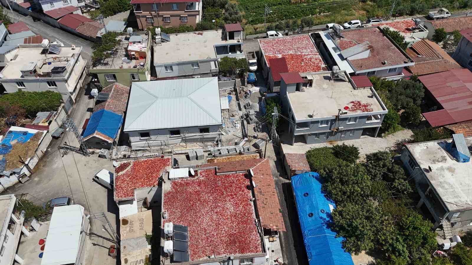 Kavurucu sıcakta devam eden acı mesaiyle birlikte damlar kırmızıya büründü