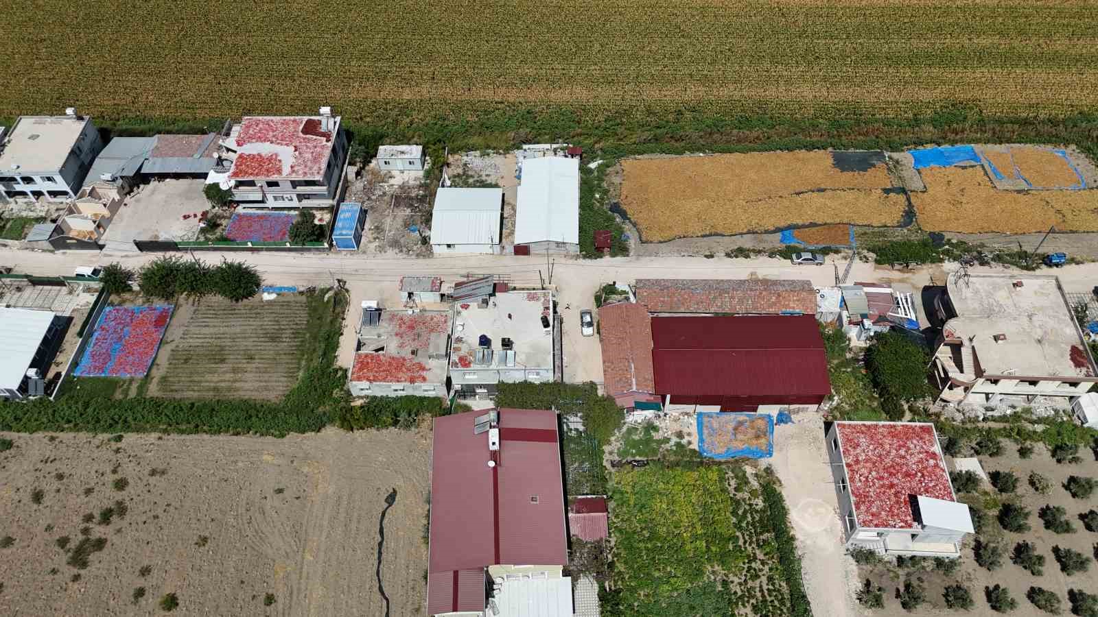 Kavurucu sıcakta devam eden acı mesaiyle birlikte damlar kırmızıya büründü