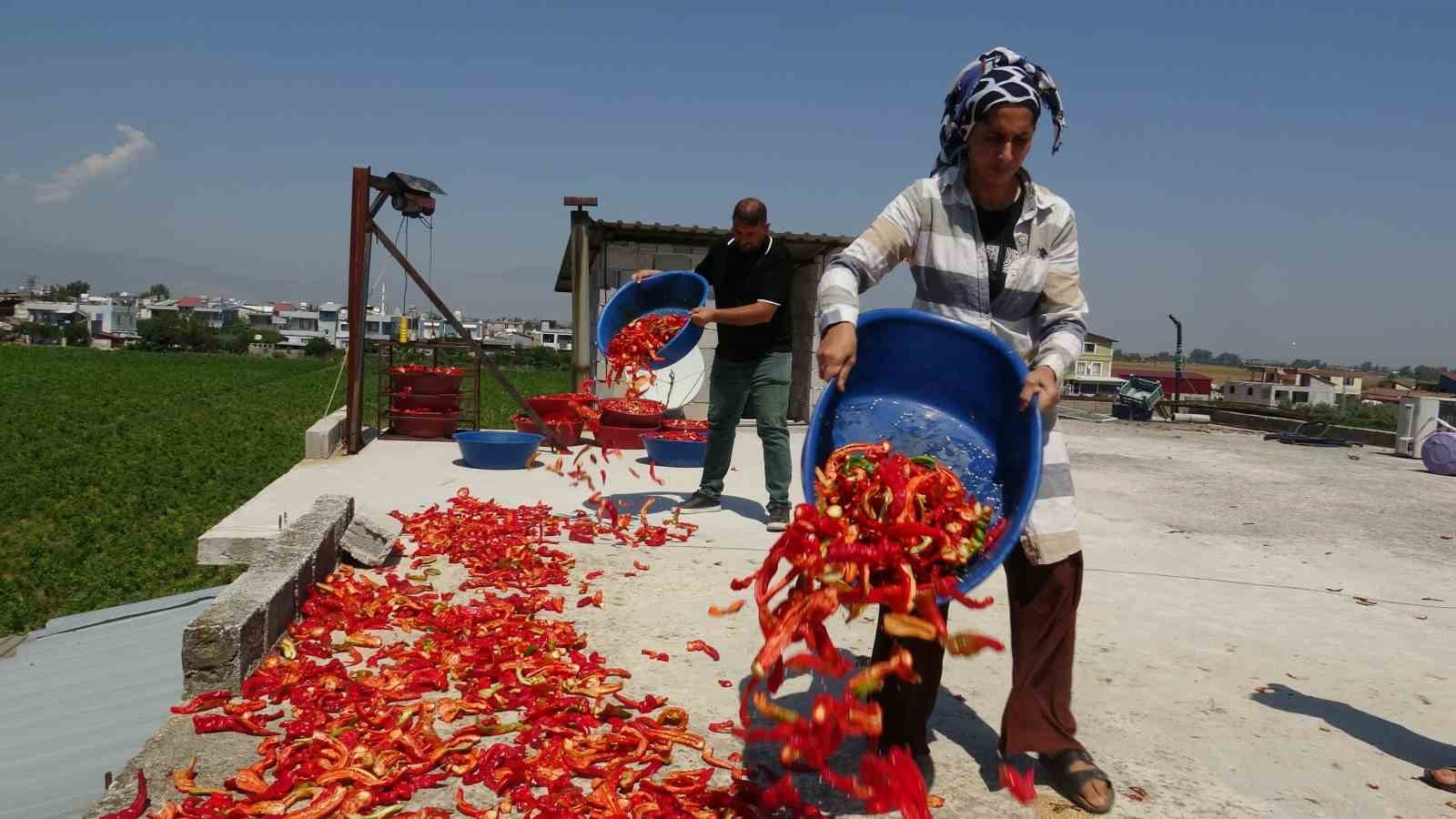 Kavurucu sıcakta devam eden acı mesaiyle birlikte damlar kırmızıya büründü