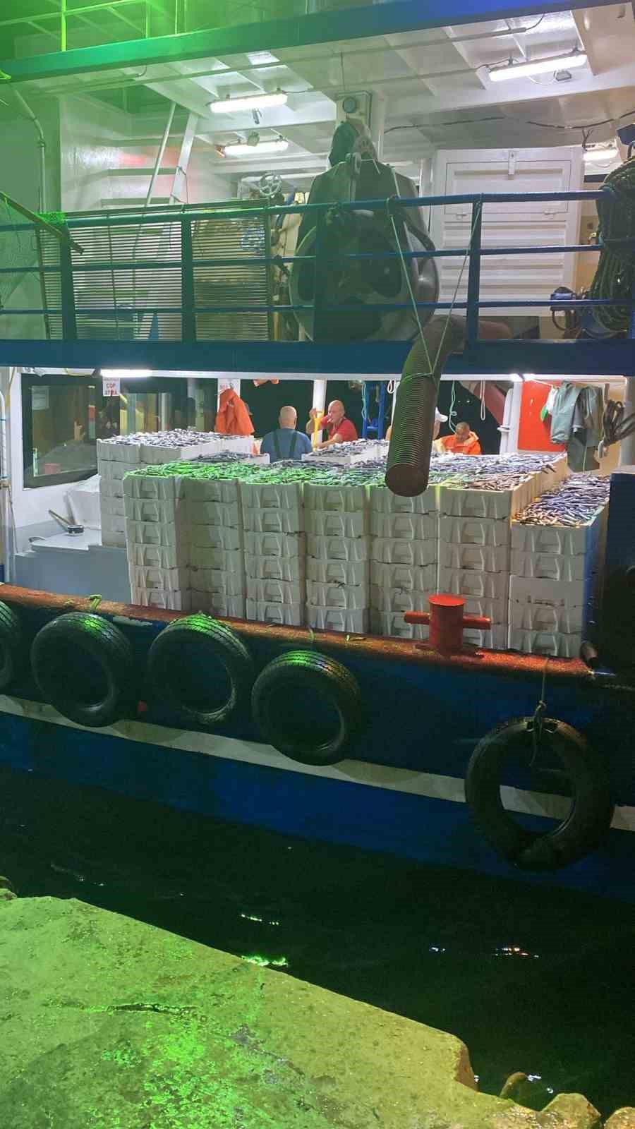 Didim’de ’Hamsi Kotası’ denetimi yapıldı
